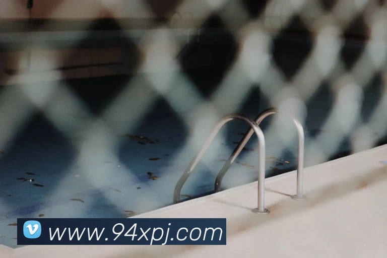 新葡京在线网址服务体系